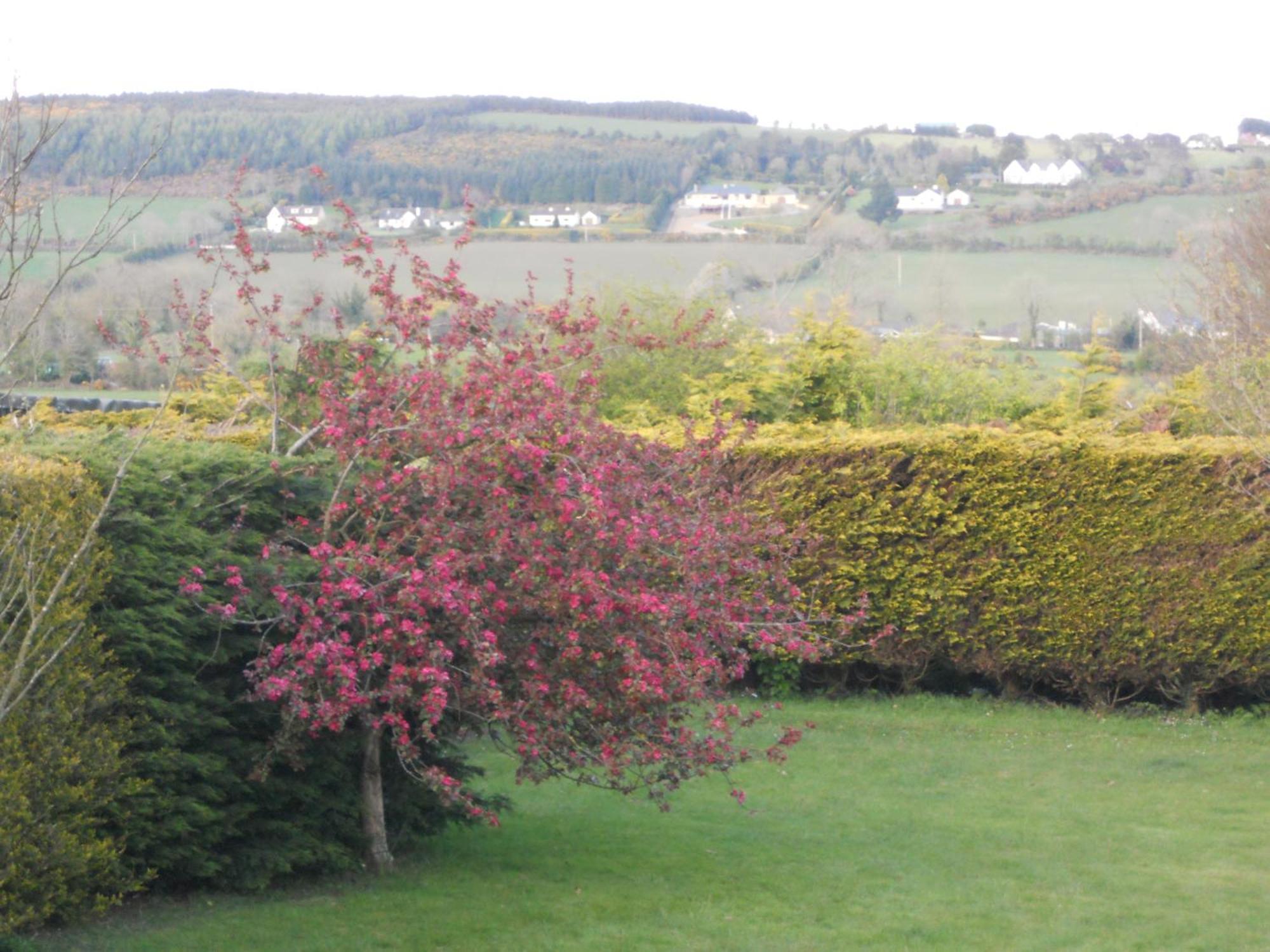 Rhu Glenn Hotel Waterford Eksteriør bilde